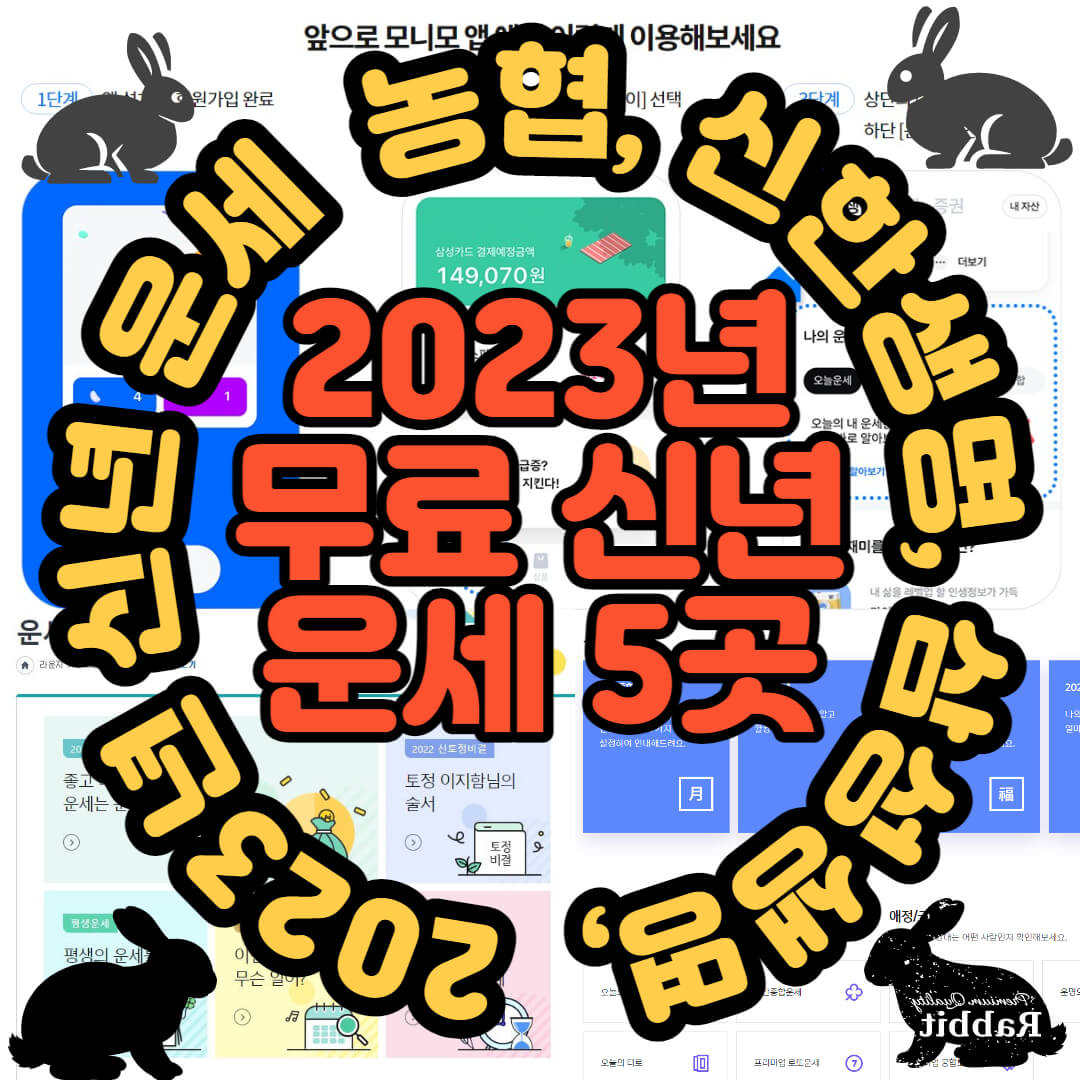 2023년 무료운세 신년 운세 볼수 있는 5곳 (계묘년 검은토끼띠해, 토정비결)
