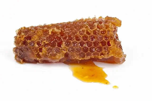 놀라운 꿀효능10가지와 꿀 부작용 10가지 확인하세요. 7